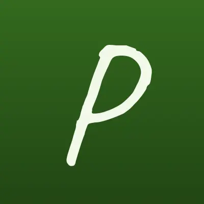 Прачечная служба Perfect